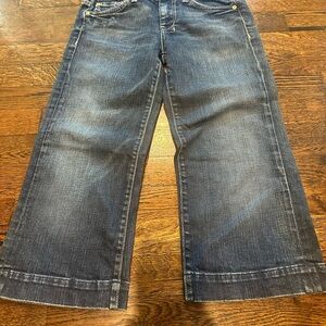7 For All Mankind Blue Flare Wide Leg Jeans